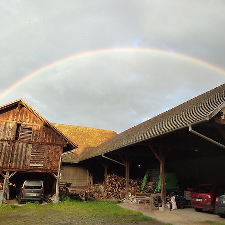 Chez Marguerite Gites A La Ferme Horbourg-Wihr 외부 사진