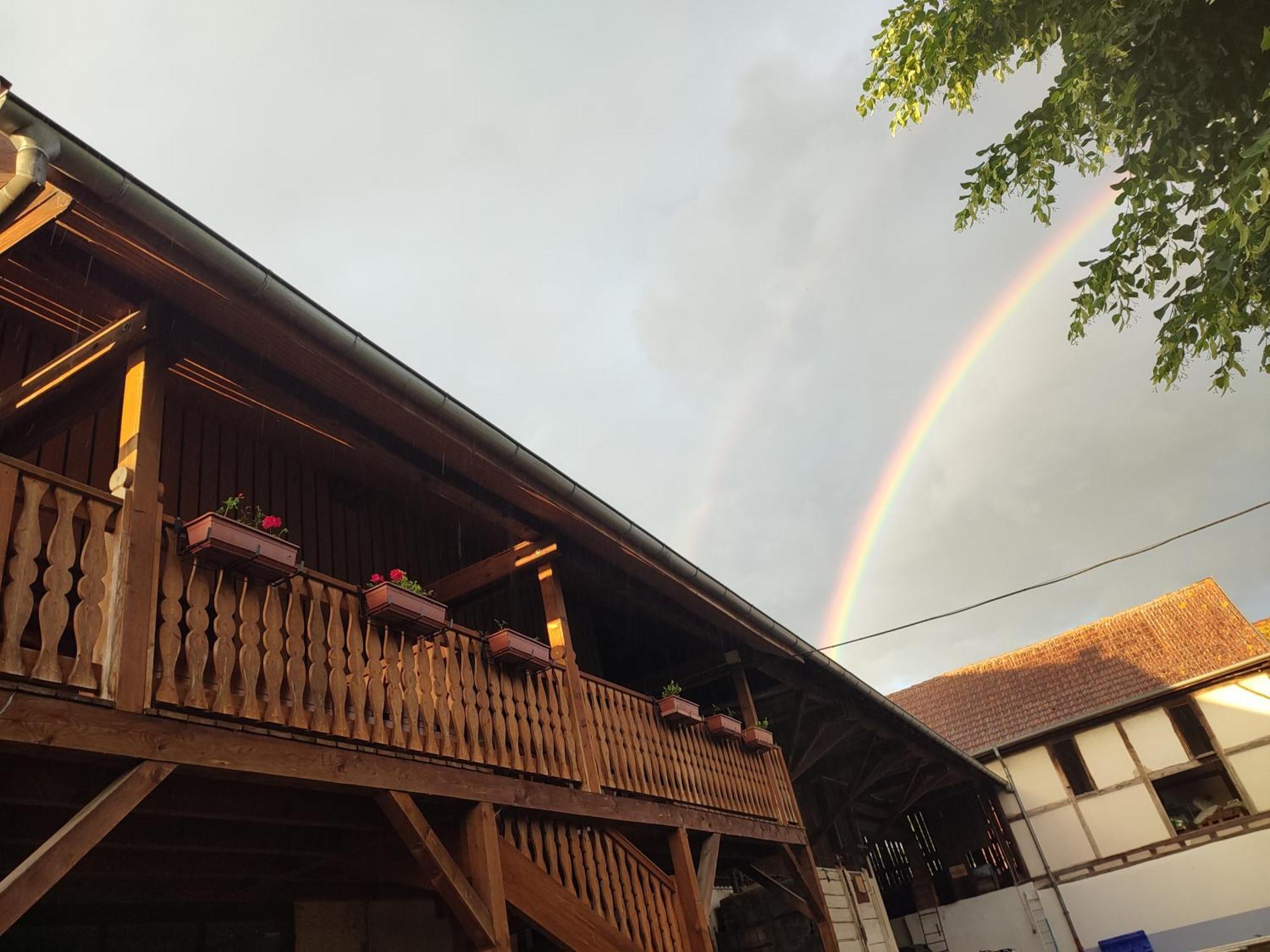 Chez Marguerite Gites A La Ferme Horbourg-Wihr 외부 사진